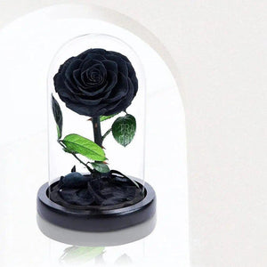 Trandafir Criogenat negru bonita Ø9,5cm in cupola 12x25cm - Trandafir-Criogenat.ro