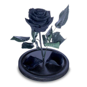 Trandafir Criogenat negru Ø6,5cm in cupola sticla 10x20cm - Trandafir-Criogenat.ro