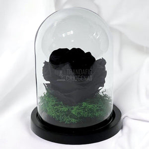 Trandafir Criogenat negru Ø8cm in cupola de sticla 10x15cm - Trandafir-Criogenat.ro