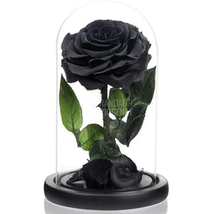 Trandafir Criogenat negru Ø8cm in cupola de sticla 12x25cm - Trandafir-Criogenat.ro