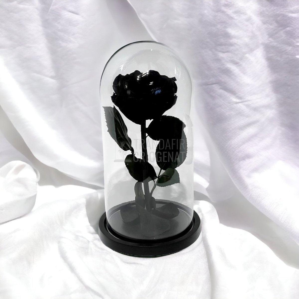 Trandafir Criogenat negru Ø8cm in cupola de sticla, cu mesaj - Trandafir-Criogenat.ro