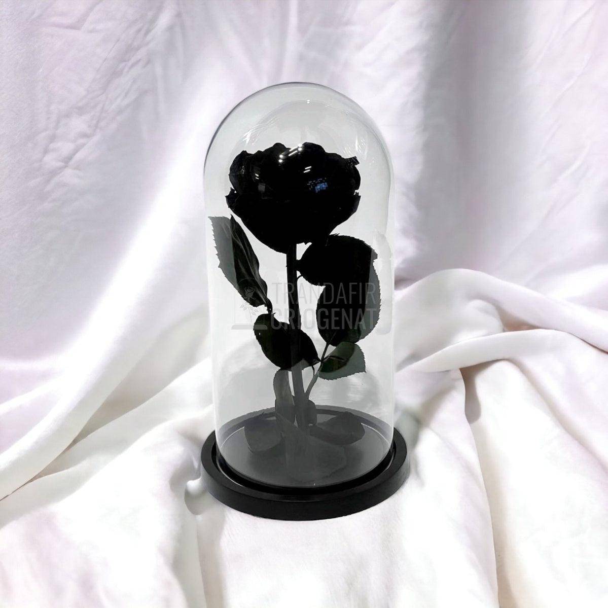 Trandafir Criogenat negru Ø8cm in cupola de sticla, cu mesaj - Trandafir-Criogenat.ro
