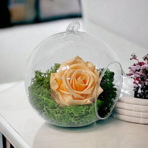 Trandafir Criogenat piersica in glob de sticla Ø10cm - Trandafir-Criogenat.ro