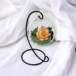 Trandafir Criogenat piersica in glob sticla suspendat Ø10cm - Trandafir-Criogenat.ro