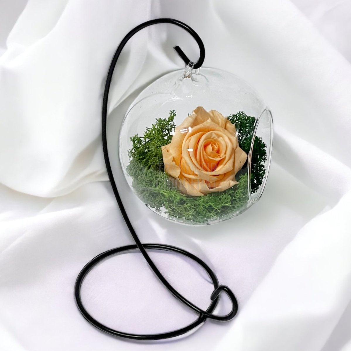 Trandafir Criogenat piersica in glob sticla suspendat Ø10cm - Trandafir-Criogenat.ro