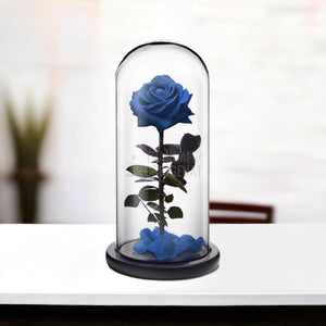 Trandafir Criogenat premium albastru Ø8cm in cupola 12x25cm - Trandafir-Criogenat.ro