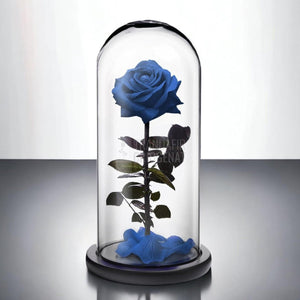 Trandafir Criogenat premium albastru Ø8cm in cupola 12x25cm - Trandafir-Criogenat.ro