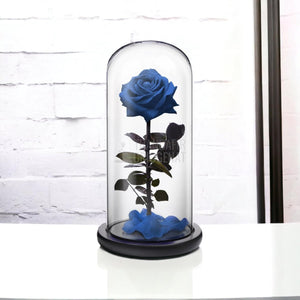 Trandafir Criogenat premium albastru Ø8cm in cupola 12x25cm - Trandafir-Criogenat.ro