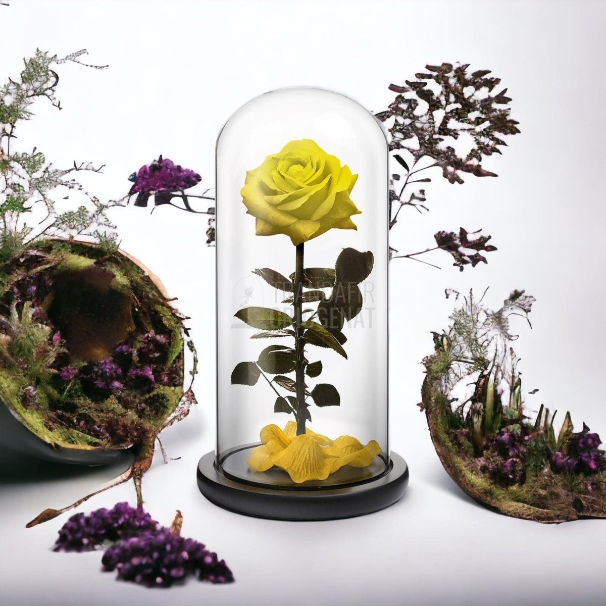 Trandafir Criogenat premium galben Ø8cm in cupola 12x25cm - Trandafir-Criogenat.ro