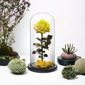 Trandafir Criogenat premium galben Ø8cm in cupola 12x25cm - Trandafir-Criogenat.ro