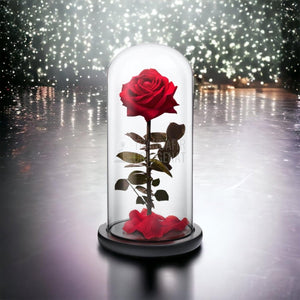 Trandafir Criogenat premium rosu Ø8cm in cupola sticla 12x25cm - Trandafir-Criogenat.ro