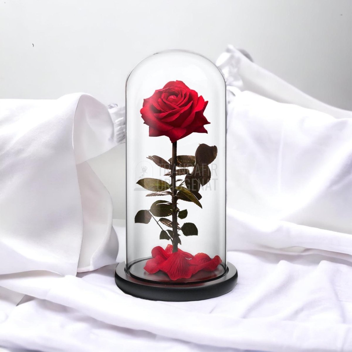 Trandafir Criogenat premium rosu Ø8cm in cupola sticla 12x25cm - Trandafir-Criogenat.ro
