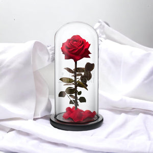 Trandafir Criogenat premium rosu Ø8cm in cupola sticla 12x25cm - Trandafir-Criogenat.ro