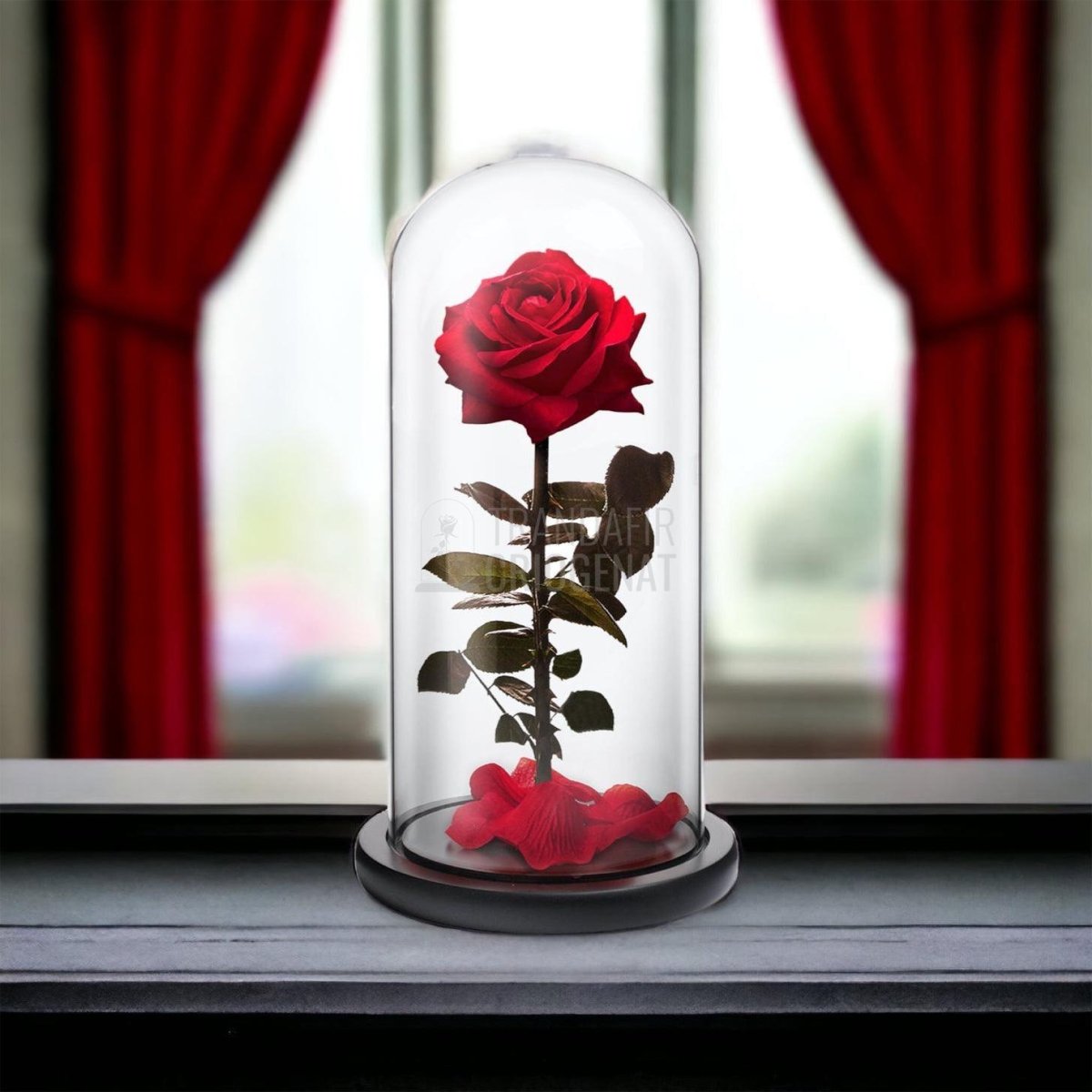 Trandafir Criogenat premium rosu Ø8cm in cupola sticla 12x25cm - Trandafir-Criogenat.ro