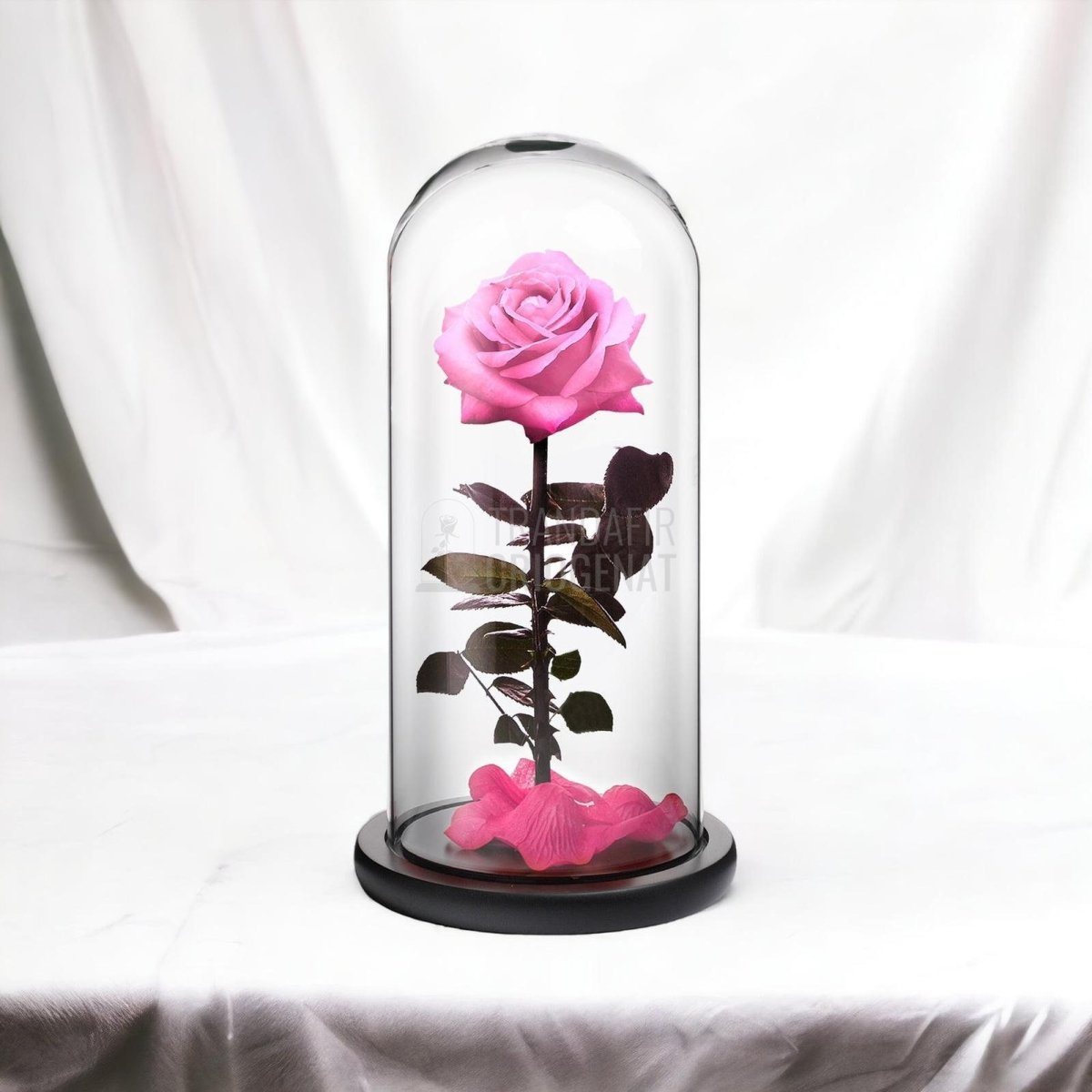 Trandafir Criogenat premium roz Ø8cm in cupola sticla 12x25cm - Trandafir-Criogenat.ro