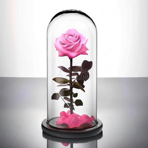Trandafir Criogenat premium roz Ø8cm in cupola sticla 12x25cm - Trandafir-Criogenat.ro