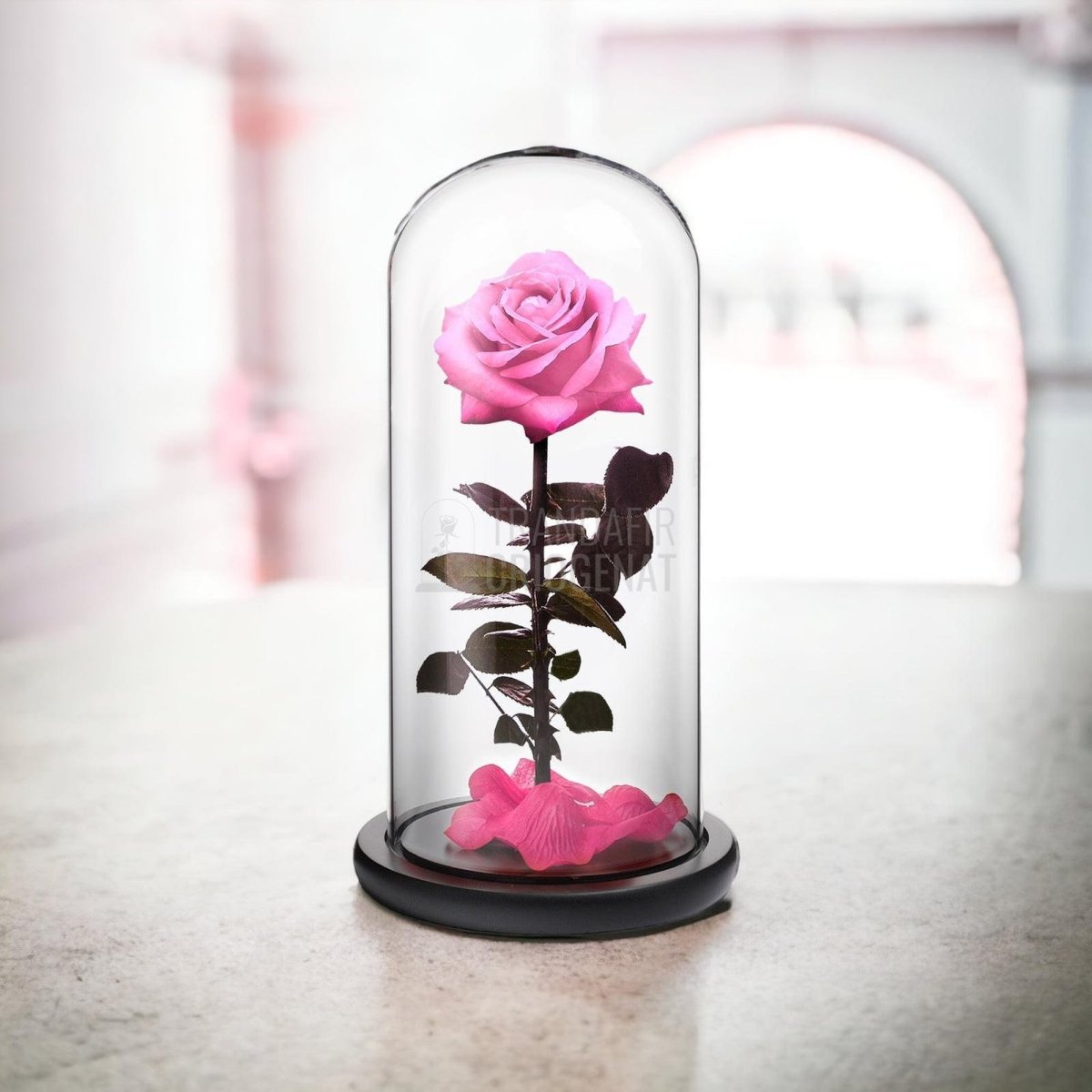 Trandafir Criogenat premium roz Ø8cm in cupola sticla 12x25cm - Trandafir-Criogenat.ro