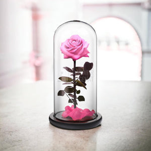 Trandafir Criogenat premium roz Ø8cm in cupola sticla 12x25cm - Trandafir-Criogenat.ro