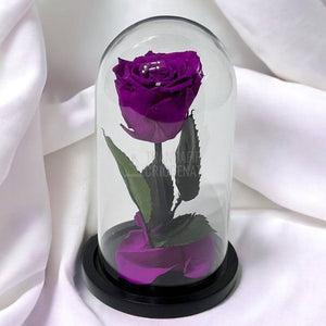 Trandafir Criogenat purpuriu deschis Ø6,5cm in cupola sticla - Trandafir-Criogenat.ro