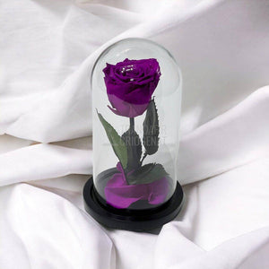 Trandafir Criogenat purpuriu deschis Ø6,5cm in cupola sticla - Trandafir-Criogenat.ro