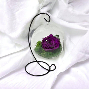 Trandafir Criogenat purpuriu in glob sticla suspendat Ø12cm - Trandafir-Criogenat.ro