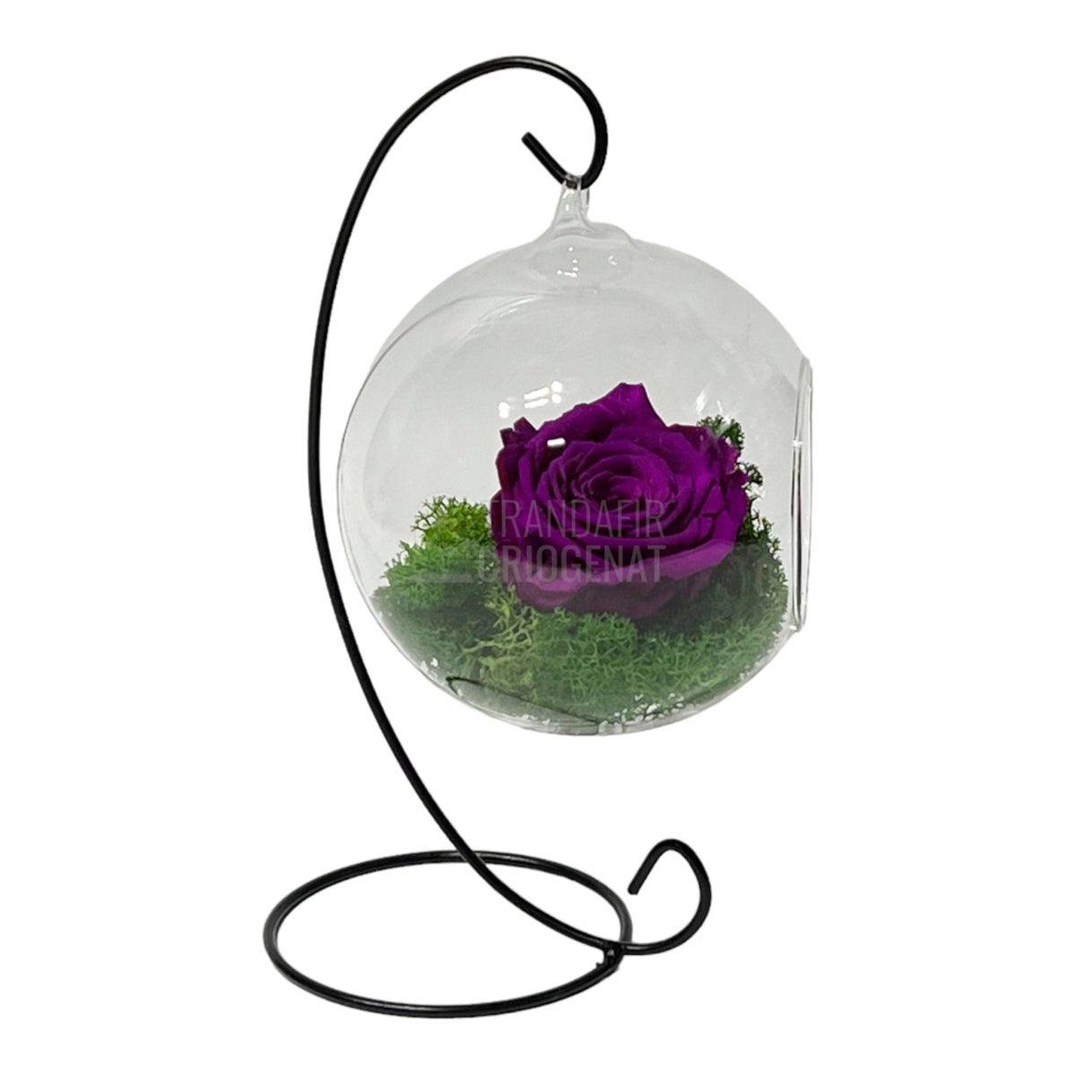 Trandafir Criogenat purpuriu in glob sticla suspendat Ø12cm - Trandafir-Criogenat.ro