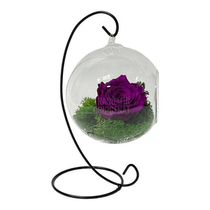 Trandafir Criogenat purpuriu in glob sticla suspendat Ø12cm - Trandafir-Criogenat.ro