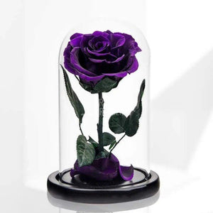 Trandafir Criogenat purpuriu inchis Ø6,5cm in cupola 10x20cm - Trandafir-Criogenat.ro