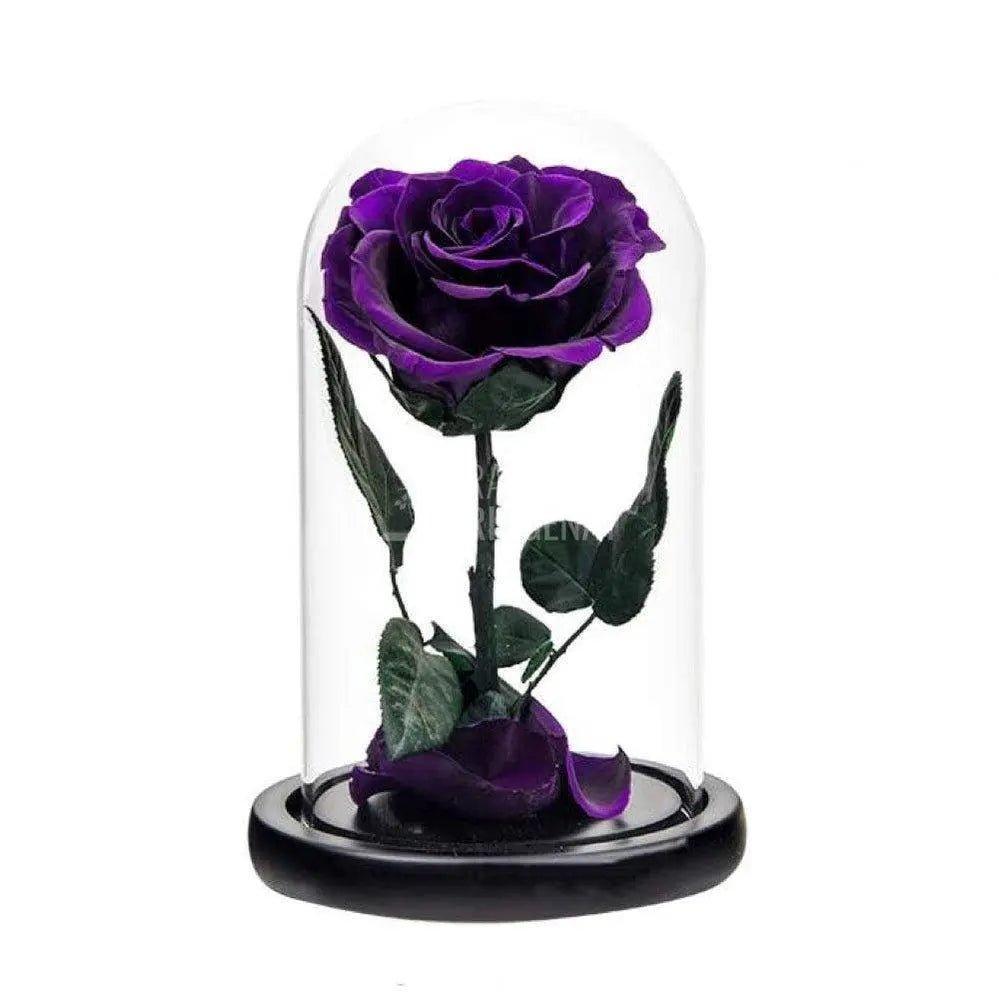 Trandafir Criogenat purpuriu inchis Ø6,5cm in cupola 10x20cm - Trandafir-Criogenat.ro