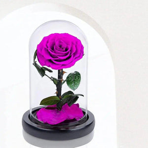 Trandafir Criogenat purpuriu Ø8cm in cupola sticla 10x20cm - Trandafir-Criogenat.ro