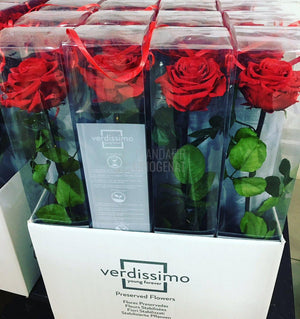 Trandafir Criogenat rosu Amorosa Premium in cutie cadou - Trandafir-Criogenat.ro