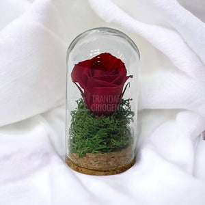 Trandafir Criogenat rosu in cupola sticla 5x9,5cm (marturie) - Trandafir-Criogenat.ro