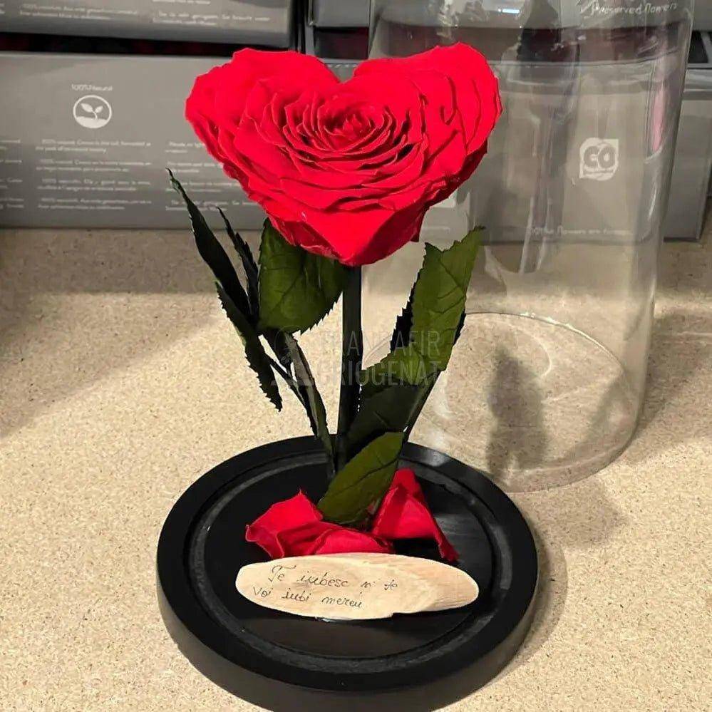 Trandafir Criogenat rosu in forma de inima in cupola 12x25cm - Trandafir-Criogenat.ro