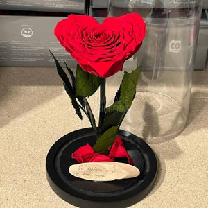 Trandafir Criogenat rosu in forma de inima in cupola 12x25cm - Trandafir-Criogenat.ro