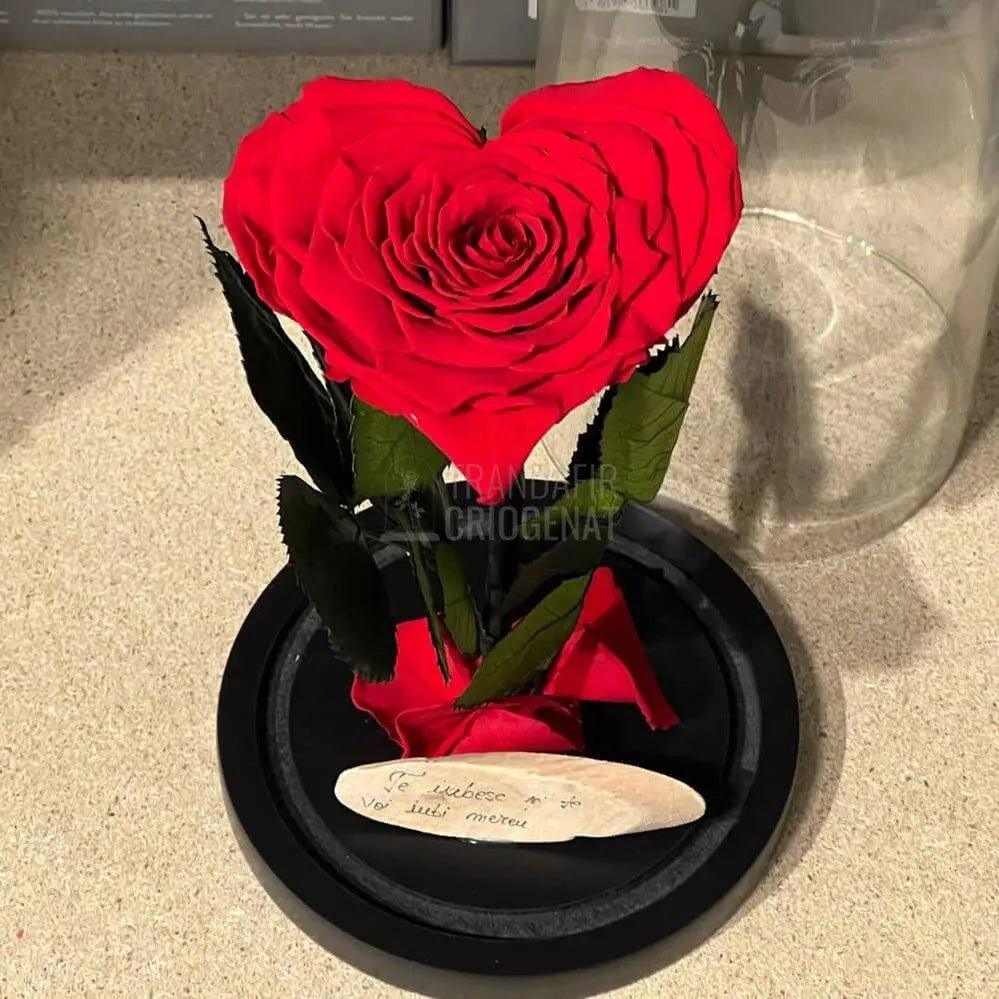Trandafir Criogenat rosu in forma de inima in cupola 12x25cm - Trandafir-Criogenat.ro