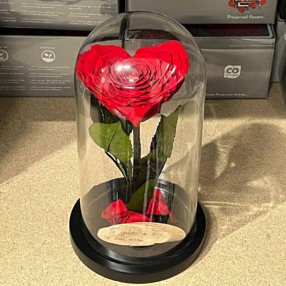Trandafir Criogenat rosu in forma de inima in cupola 12x25cm - Trandafir-Criogenat.ro