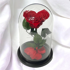 Trandafir Criogenat rosu in forma de inima in cupola 15x25cm - Trandafir-Criogenat.ro