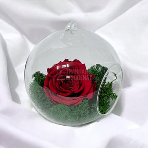 Trandafir Criogenat rosu in glob de sticla Ø12cm - Trandafir-Criogenat.ro
