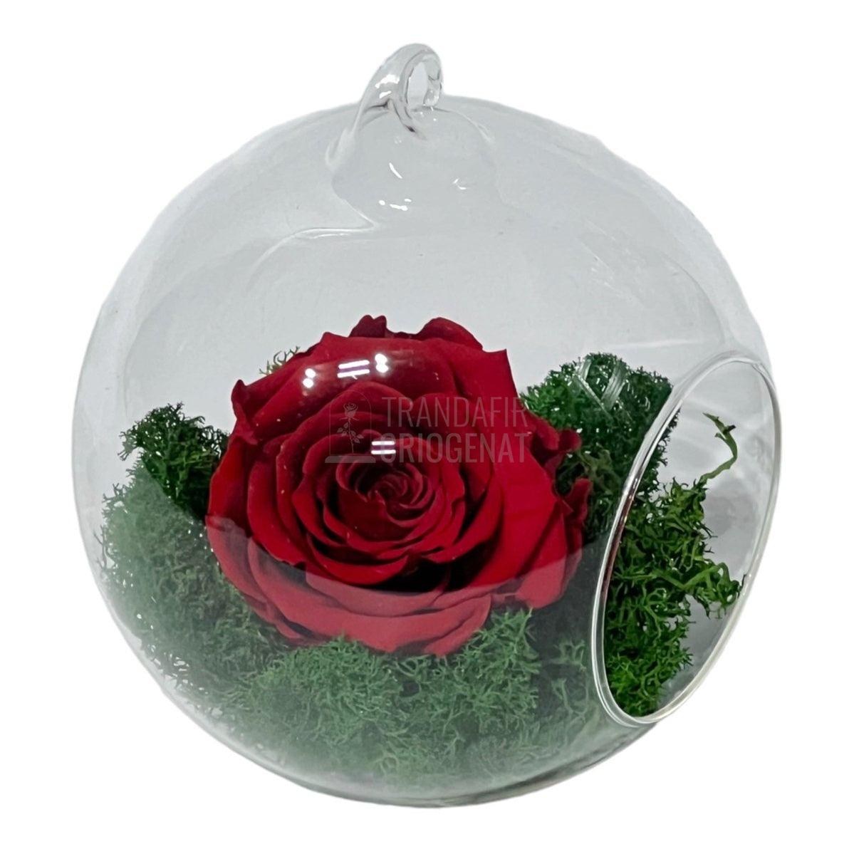 Trandafir Criogenat rosu in glob de sticla Ø12cm - Trandafir-Criogenat.ro