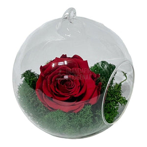 Trandafir Criogenat rosu in glob de sticla Ø12cm - Trandafir-Criogenat.ro