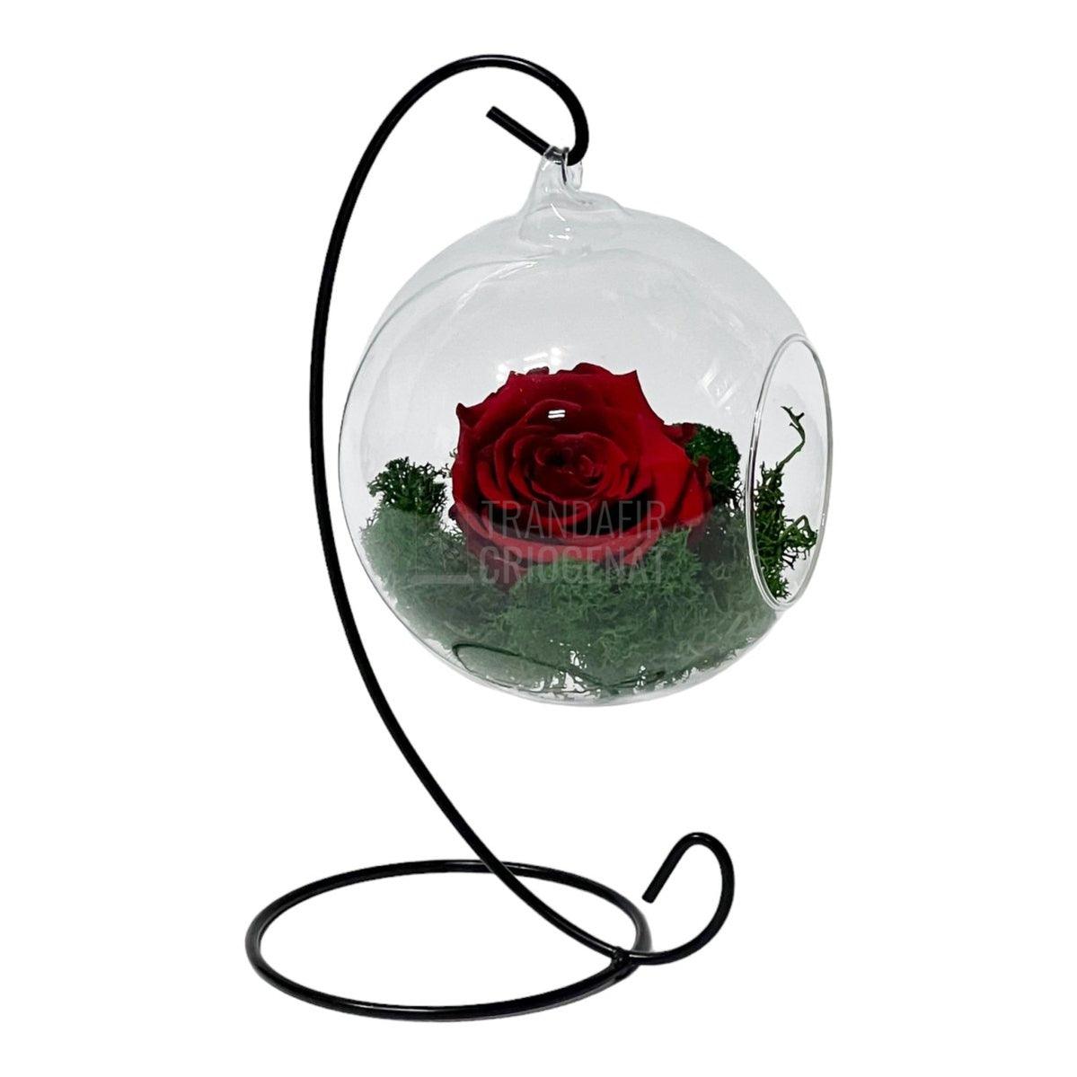 Trandafir Criogenat rosu in glob de sticla suspendat Ø12cm - Trandafir-Criogenat.ro