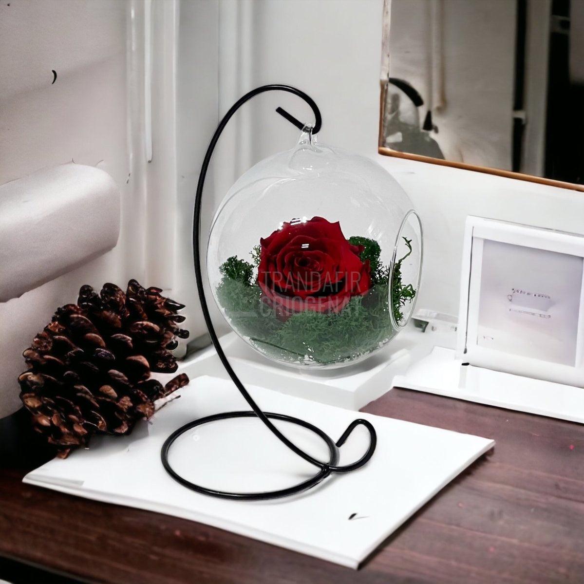 Trandafir Criogenat rosu in glob de sticla suspendat Ø12cm - Trandafir-Criogenat.ro
