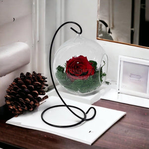 Trandafir Criogenat rosu in glob de sticla suspendat Ø12cm - Trandafir-Criogenat.ro