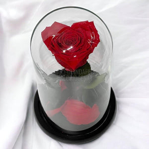 Trandafir Criogenat rosu inima Ø8cm in cupola 10x20cm - Trandafir-Criogenat.ro