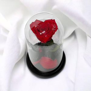 Trandafir Criogenat rosu inima Ø8cm in cupola 10x20cm - Trandafir-Criogenat.ro