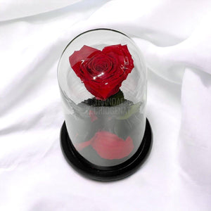 Trandafir Criogenat rosu inima Ø8cm in cupola 10x20cm - Trandafir-Criogenat.ro