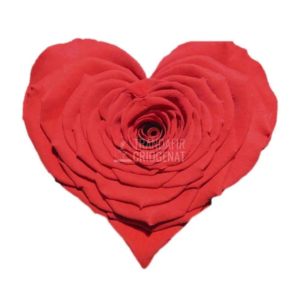 Trandafir Criogenat rosu inima Ø9cm in cupola 12x25cm - Trandafir-Criogenat.ro