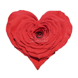 Trandafir Criogenat rosu inima Ø9cm in cupola 12x25cm - Trandafir-Criogenat.ro