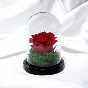 Trandafir Criogenat rosu Ø8cm in cupola de sticla 10x15cm - Trandafir-Criogenat.ro