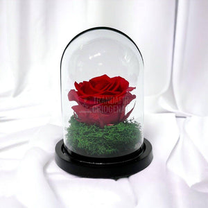 Trandafir Criogenat rosu Ø8cm in cupola de sticla 10x15cm - Trandafir-Criogenat.ro